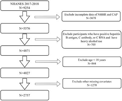 The correlation between non-high-density lipoprotein cholesterol to high-density lipoprotein cholesterol ratio (NHHR) with non-alcoholic fatty liver disease: an analysis of the population-based NHANES (2017–2018)